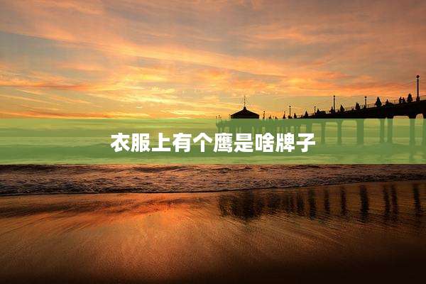 衣服上有个鹰是啥牌子