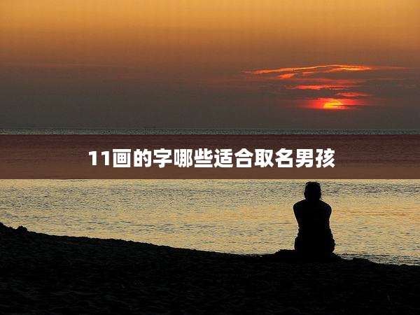 11画的字哪些适合取名男孩