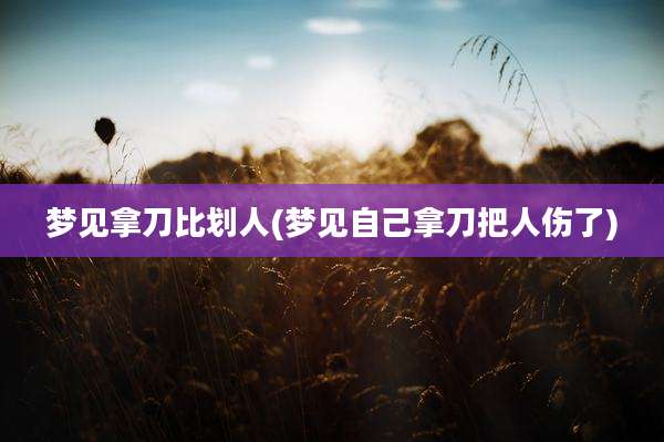梦见拿刀比划人(梦见自己拿刀把人伤了)