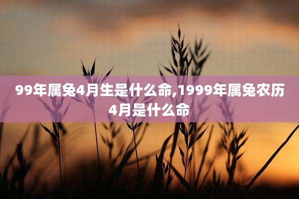 99年属兔4月生是什么命,1999年属兔农历4月是什么命