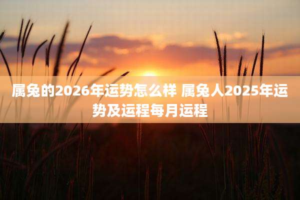 属兔的2026年运势怎么样 属兔人2025年运势及运程每月运程