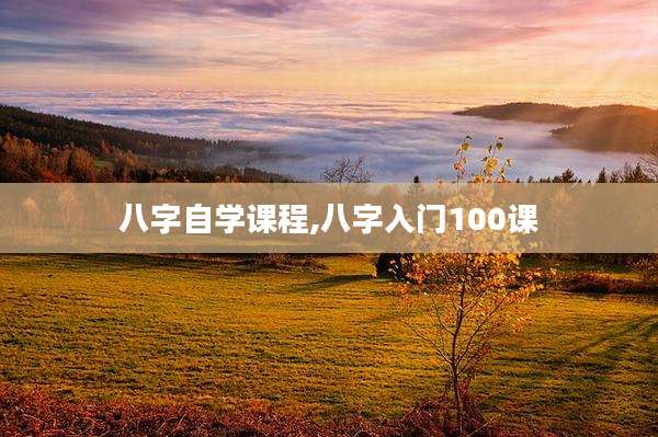 八字自学课程,八字入门100课