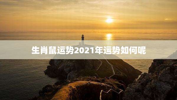 生肖鼠运势2021年运势如何呢