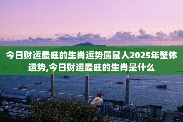 今日财运最旺的生肖运势属鼠人2025年整体运势,今日财运最旺的生肖是什么