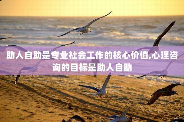 助人自助是专业社会工作的核心价值,心理咨询的目标是助人自助