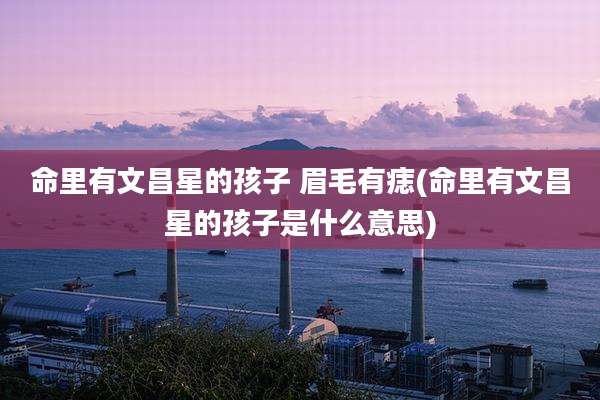 命里有文昌星的孩子 眉毛有痣(命里有文昌星的孩子是什么意思)