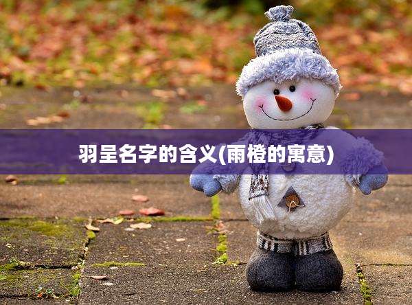 羽呈名字的含义(雨橙的寓意)