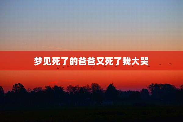 梦见死了的爸爸又死了我大哭