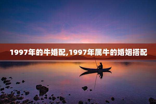 1997年的牛婚配,1997年属牛的婚姻搭配