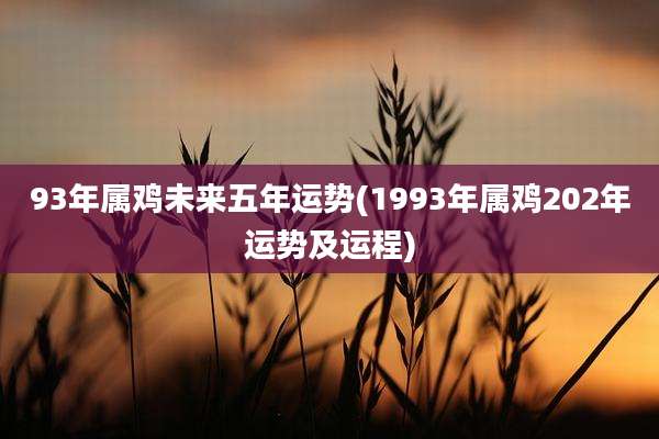 93年属鸡未来五年运势(1993年属鸡202年运势及运程)