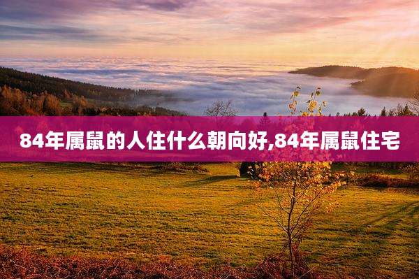 84年属鼠的人住什么朝向好,84年属鼠住宅