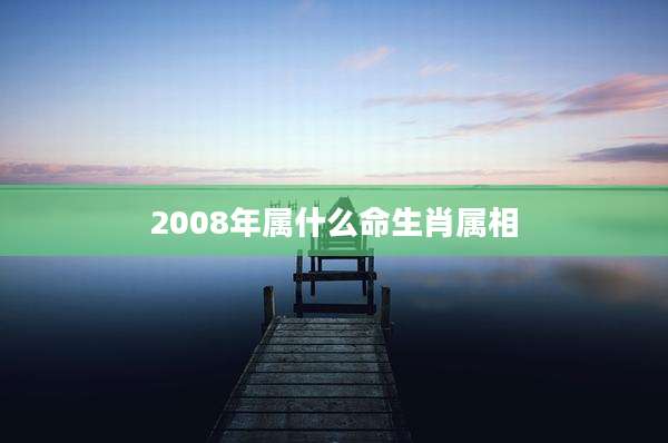2008年属什么命生肖属相