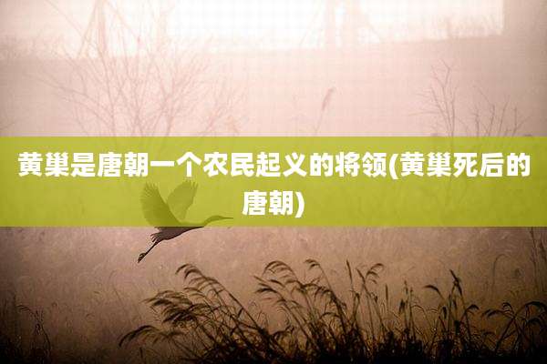 黄巢是唐朝一个农民起义的将领(黄巢死后的唐朝)