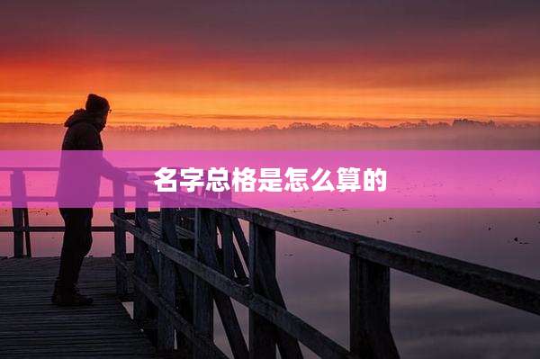 名字总格是怎么算的