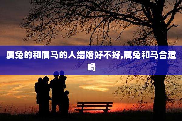 属兔的和属马的人结婚好不好,属兔和马合适吗