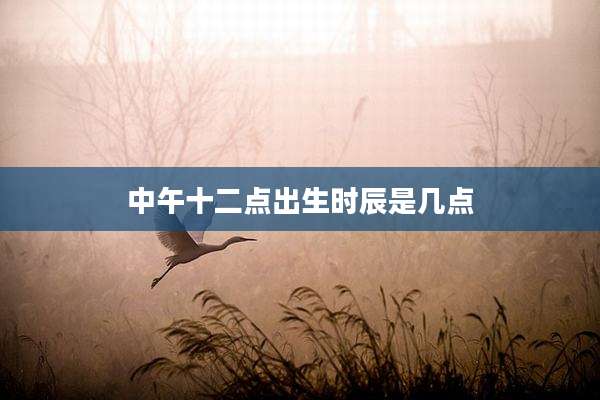 中午十二点出生时辰是几点
