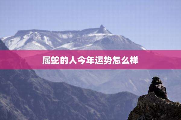 属蛇的人今年运势怎么样