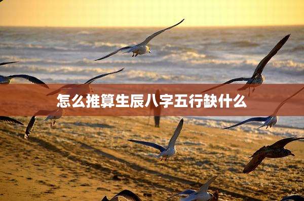 怎么推算生辰八字五行缺什么