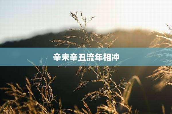 辛未辛丑流年相冲