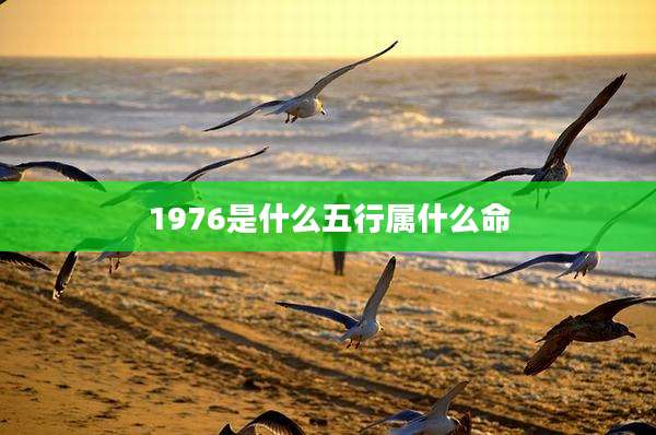 1976是什么五行属什么命