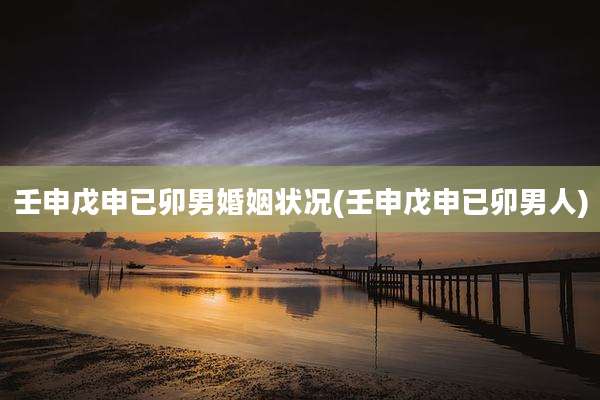 壬申戊申已卯男婚姻状况(壬申戊申已卯男人)