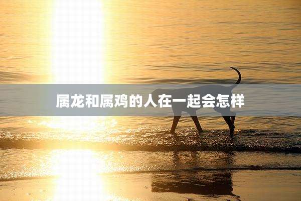 属龙和属鸡的人在一起会怎样