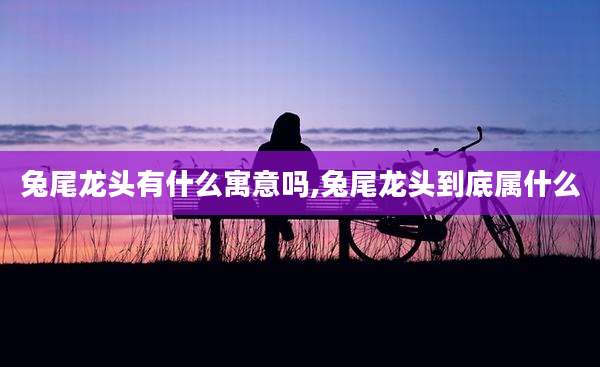 兔尾龙头有什么寓意吗,兔尾龙头到底属什么