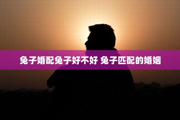 兔子婚配兔子好不好 兔子匹配的婚姻