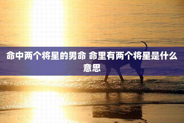 命中两个将星的男命 命里有两个将星是什么意思
