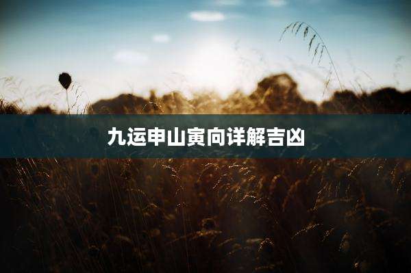 九运申山寅向详解吉凶