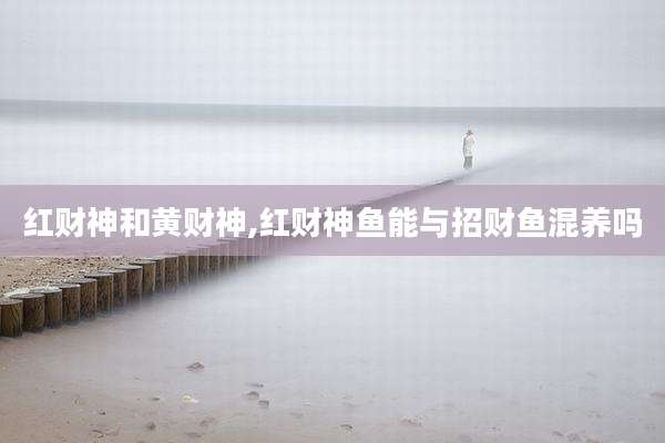 红财神和黄财神,红财神鱼能与招财鱼混养吗