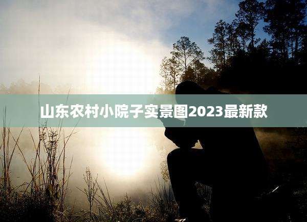 山东农村小院子实景图2023最新款