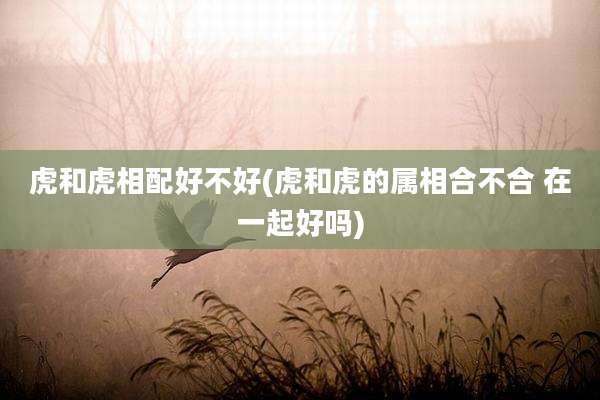 虎和虎相配好不好(虎和虎的属相合不合 在一起好吗)