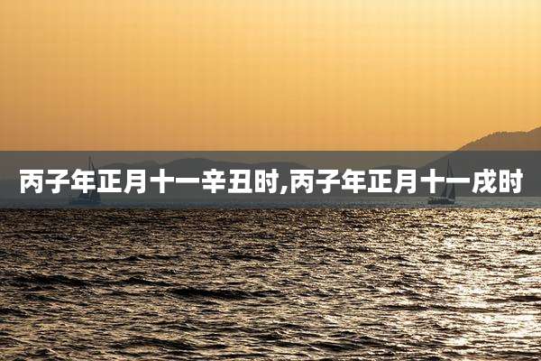 丙子年正月十一辛丑时,丙子年正月十一戌时
