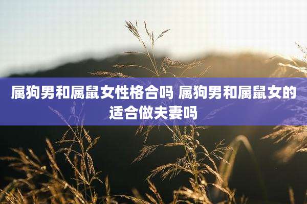 属狗男和属鼠女性格合吗 属狗男和属鼠女的适合做夫妻吗