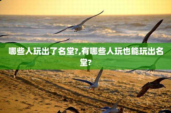 哪些人玩出了名堂?,有哪些人玩也能玩出名堂?