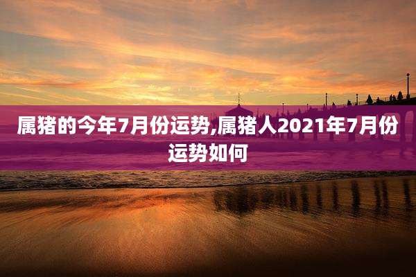属猪的今年7月份运势,属猪人2021年7月份运势如何