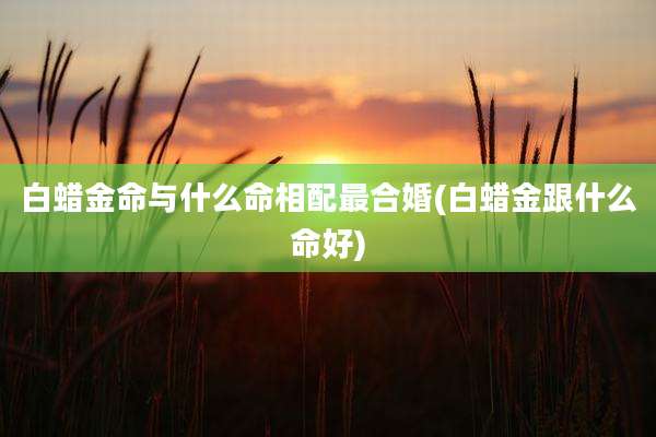 白蜡金命与什么命相配最合婚(白蜡金跟什么命好)
