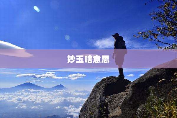 妙玉啥意思