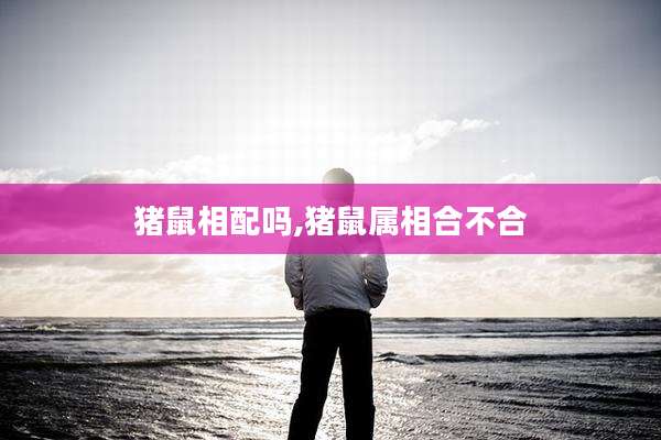 猪鼠相配吗,猪鼠属相合不合