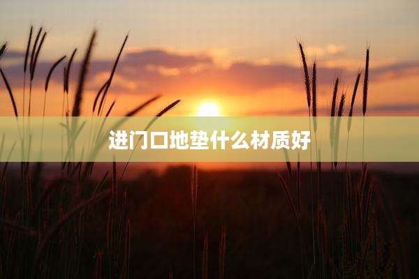 进门口地垫什么材质好