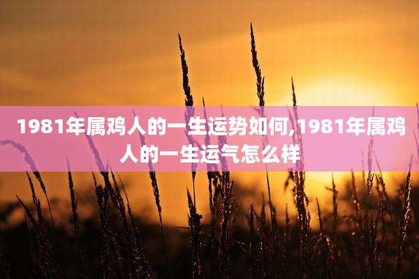 1981年属鸡人的一生运势如何,1981年属鸡人的一生运气怎么样