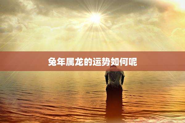 兔年属龙的运势如何呢