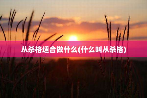 从杀格适合做什么(什么叫从杀格)