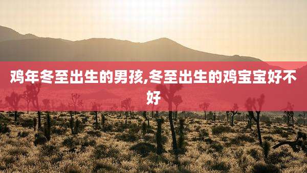 鸡年冬至出生的男孩,冬至出生的鸡宝宝好不好