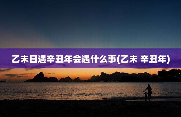乙未日遇辛丑年会遇什么事(乙未 辛丑年)