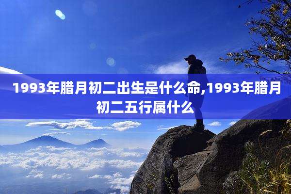 1993年腊月初二出生是什么命,1993年腊月初二五行属什么