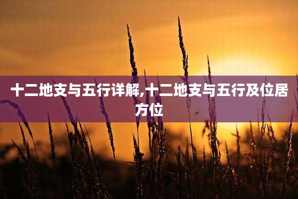 十二地支与五行详解,十二地支与五行及位居方位