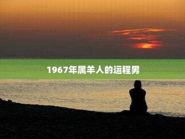 1967年属羊人的运程男