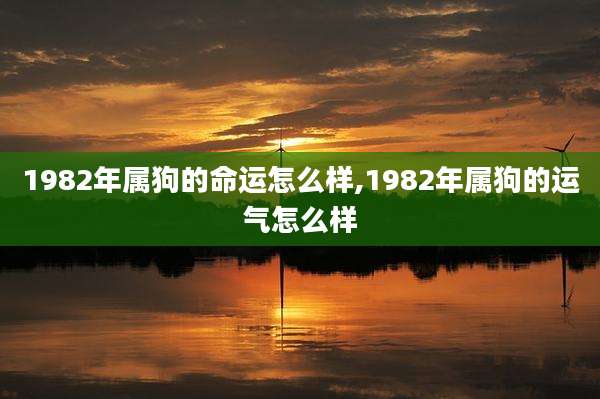 1982年属狗的命运怎么样,1982年属狗的运气怎么样